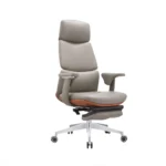 Director Chair