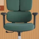 Ergonomic Chair