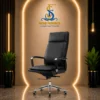 Ergomonic Chair/SF-208