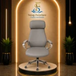 Director Chair