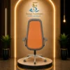 Director Chair/SF-1108