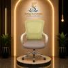 Modern Executive Office Chair/SF-1106